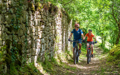 Où trouver des parcours VTT vers Sarlat ?